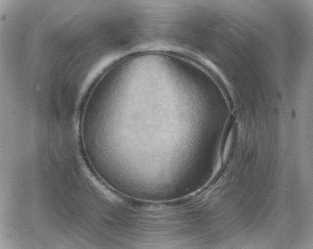 X0000066521416200603241325