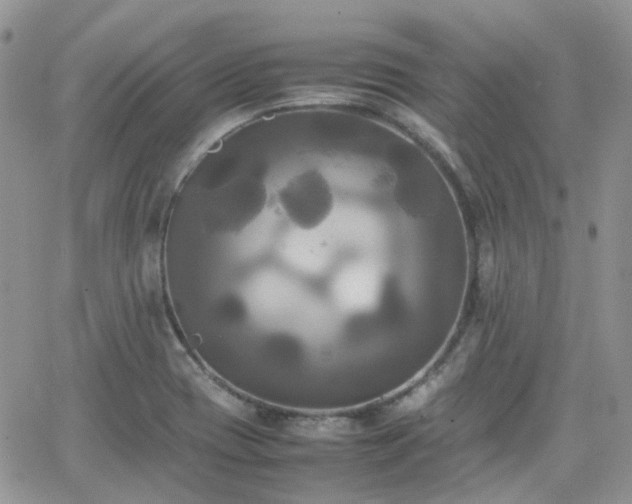 X0000066521417200603241325