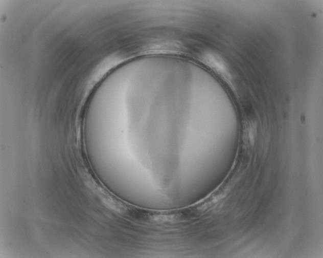 X0000066521419200603241325