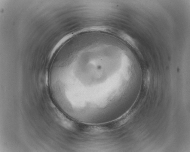 X0000066521420200603241325