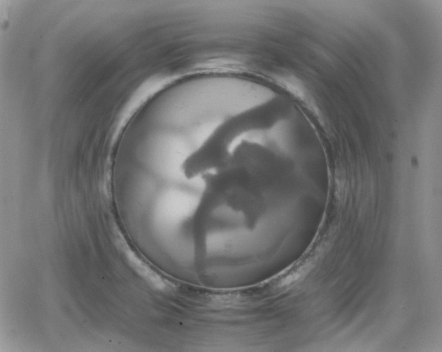 X0000066521421200603241325