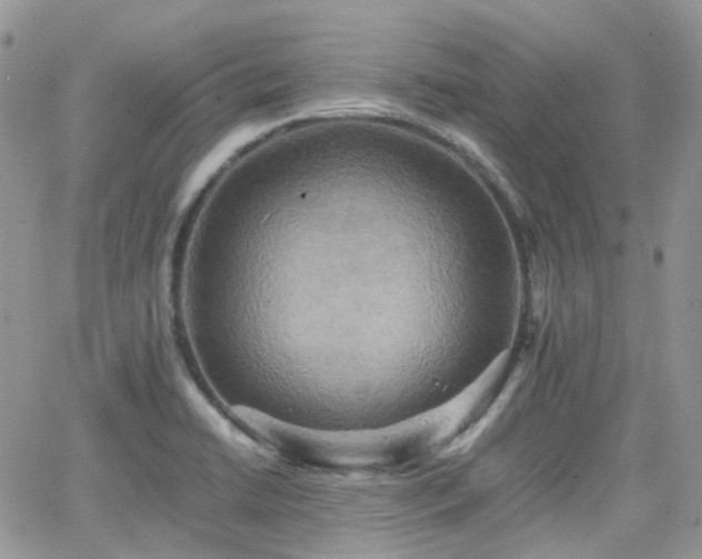 X0000066521422200603241325