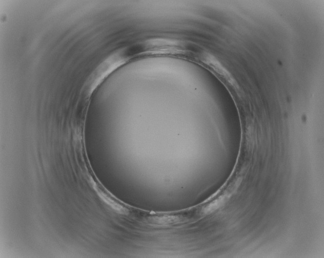 X0000066521425200603241325