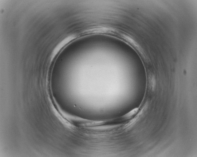 X0000066521426200603241325