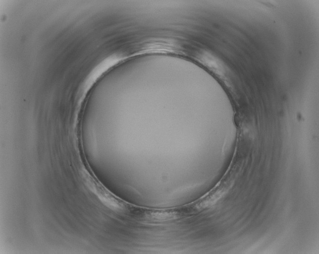 X0000066521427200603241325