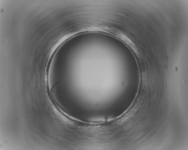 X0000066521428200603241325