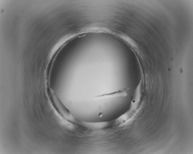 X0000066521430200603241325