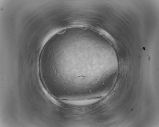 X0000066521431200603241325