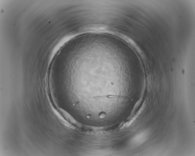 X0000066521432200603241325