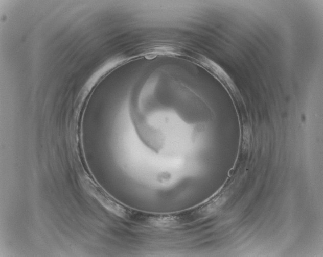 X0000066521435200603241325