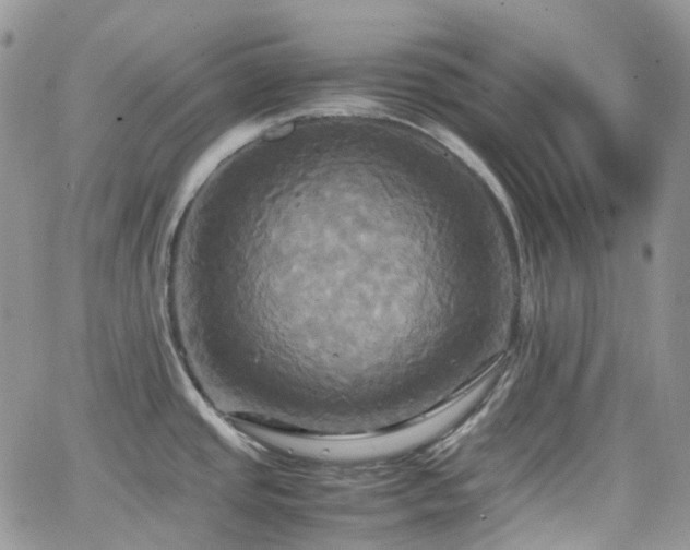 X0000066521437200603241325