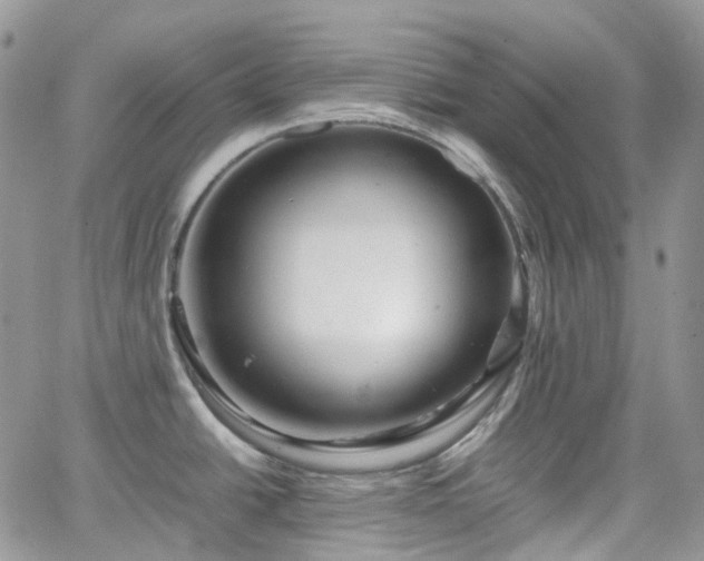 X0000066521438200603241325