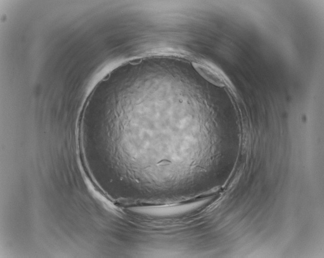 X0000066521439200603241325