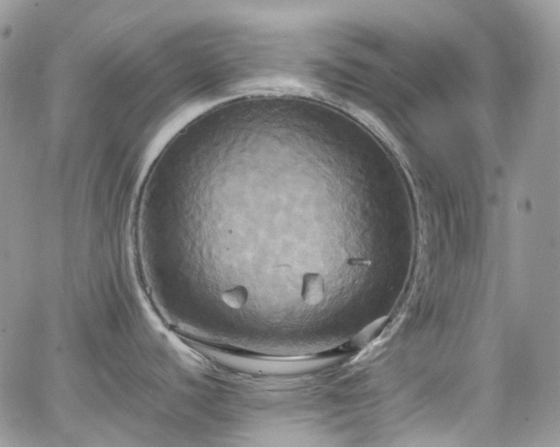 X0000066521440200603241325