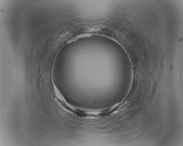 X0000066521441200603241325