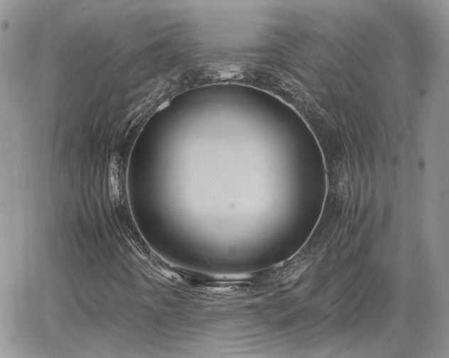 X0000066521442200603241325