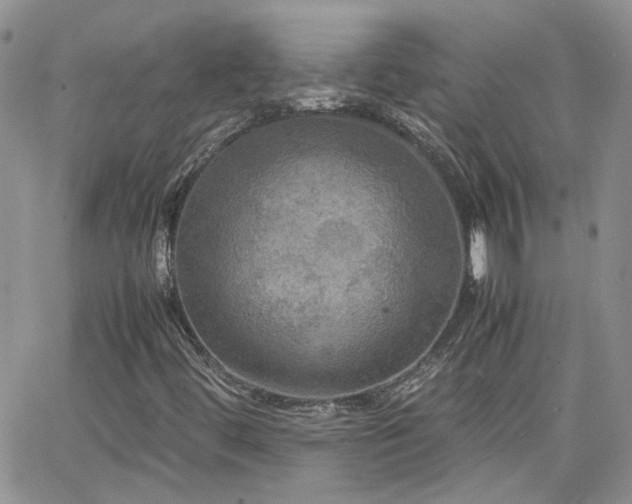 X0000066521444200603241325