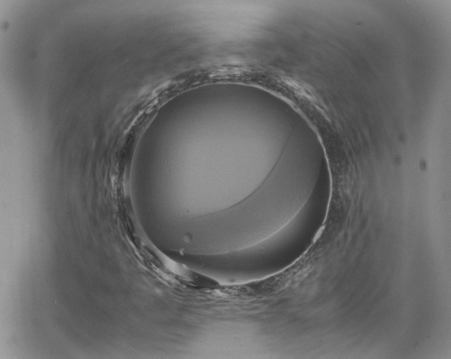 X0000066521445200603241325