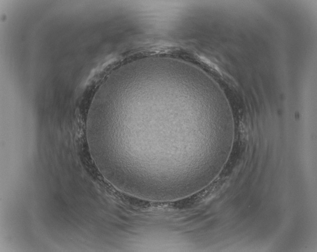 X0000066521447200603241324