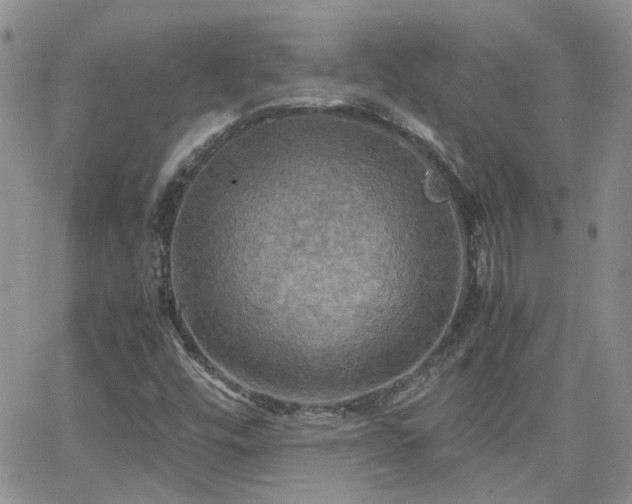 X0000066521448200603241324