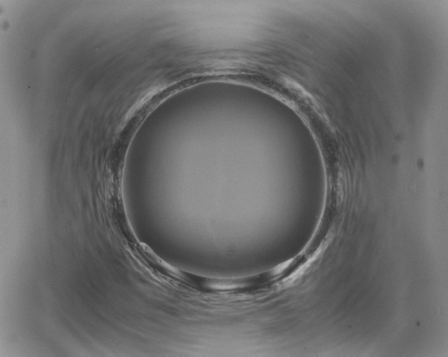 X0000066521449200603241324