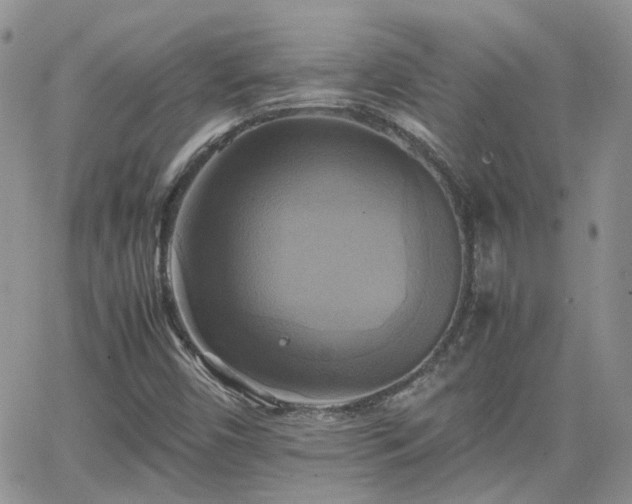 X0000066521450200603241324