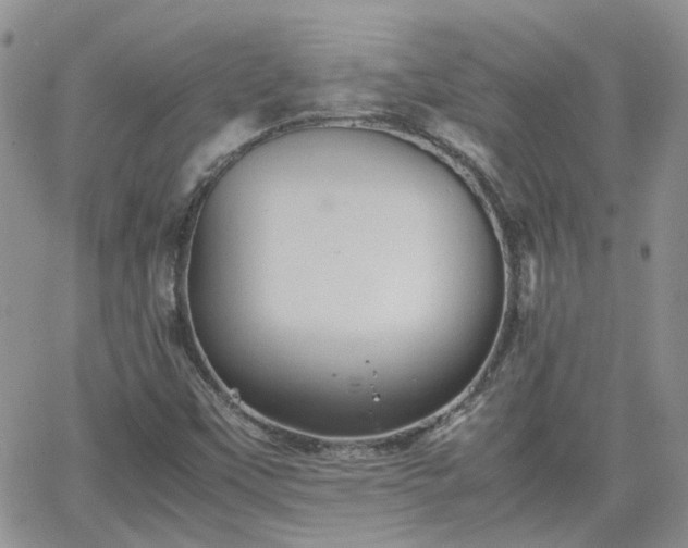 X0000066521451200603241324