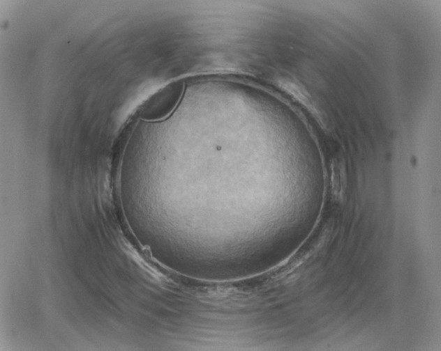 X0000066521452200603241324