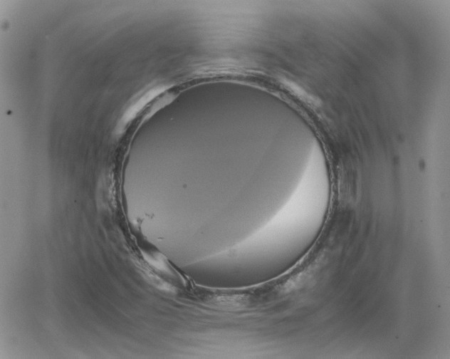 X0000066521453200603241324