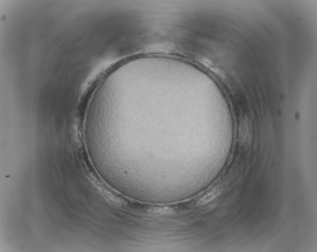 X0000066521454200603241324