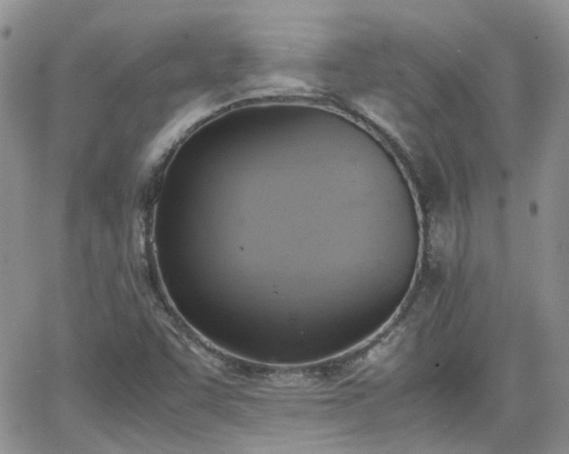 X0000066521455200603241324