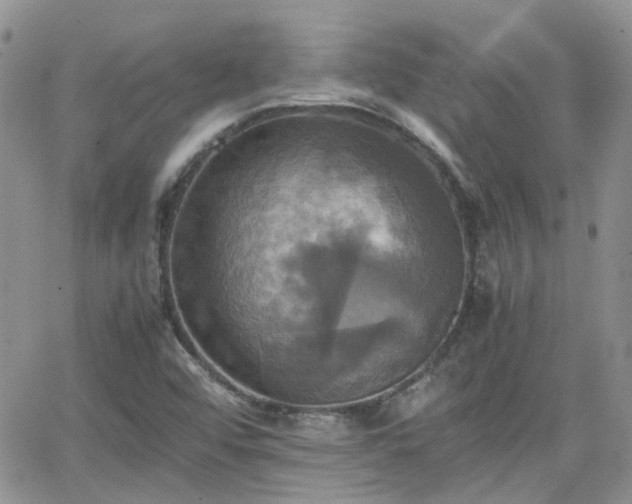 X0000066521456200603241324