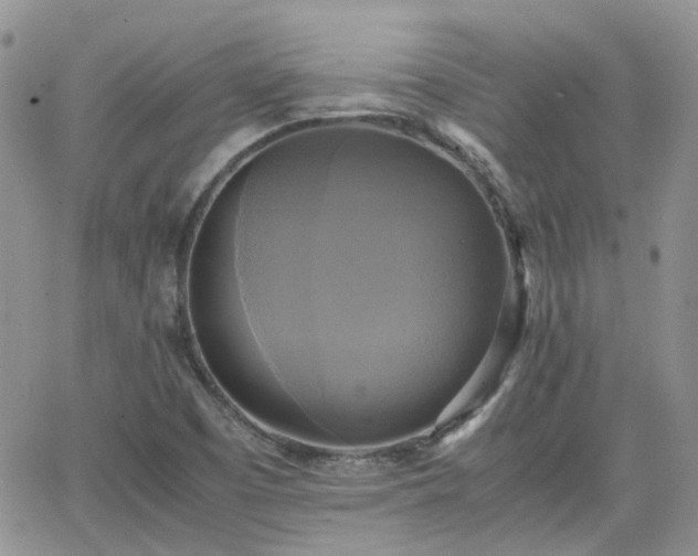 X0000066521457200603241324