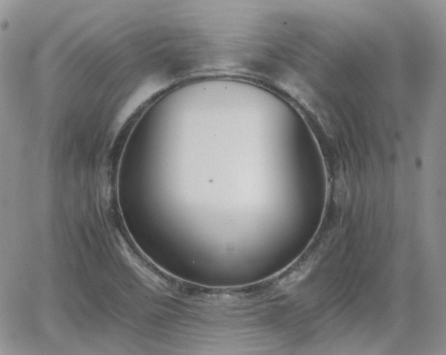 X0000066521458200603241324