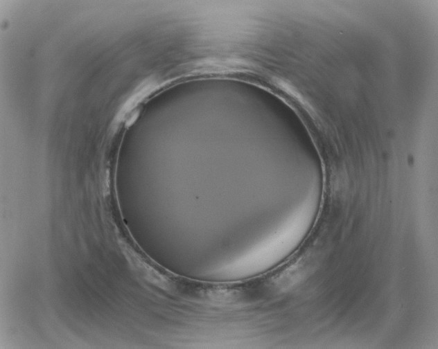 X0000066521459200603241324