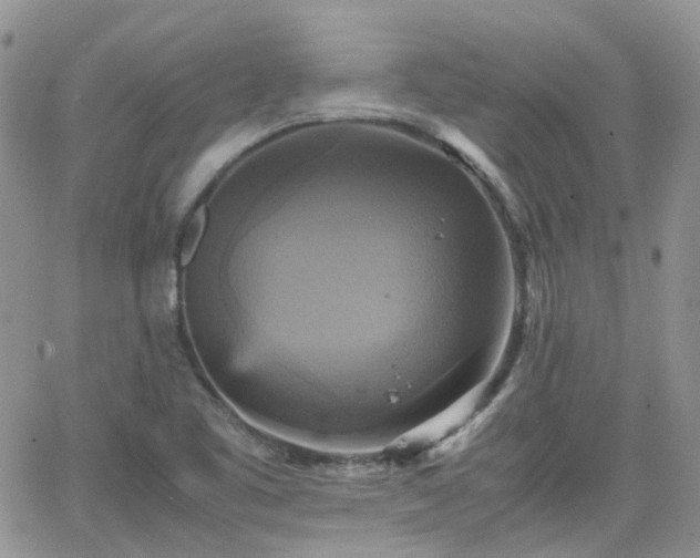 X0000066521461200603241324