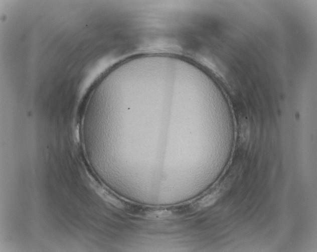 X0000066521462200603241324