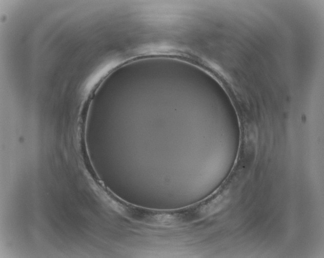 X0000066521463200603241324