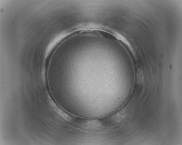 X0000066521464200603241324