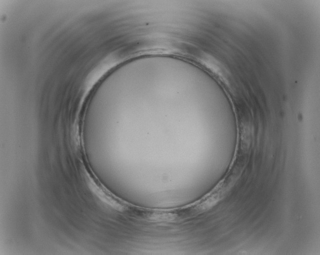 X0000066521466200603241324