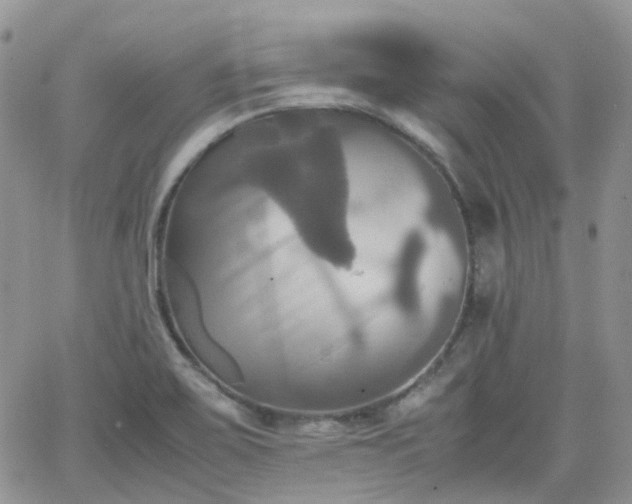 X0000066521467200603241324