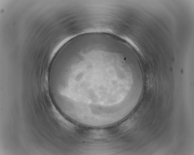 X0000066521468200603241324