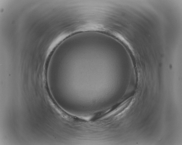 X0000066521469200603241324