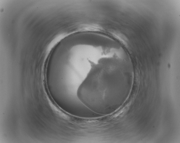 X0000066521471200603241324