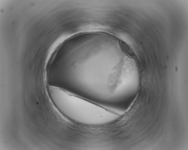 X0000066521472200603241324