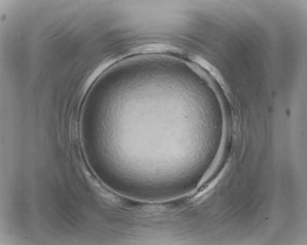 X0000066521473200603241324