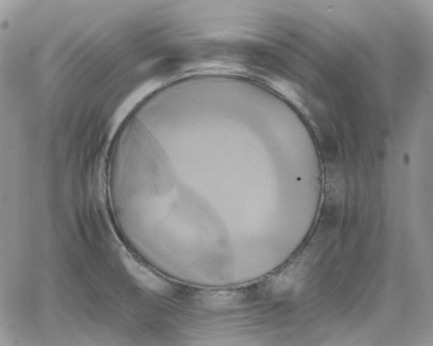 X0000066521474200603241324