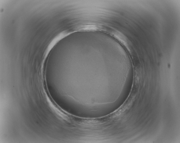 X0000066521475200603241324