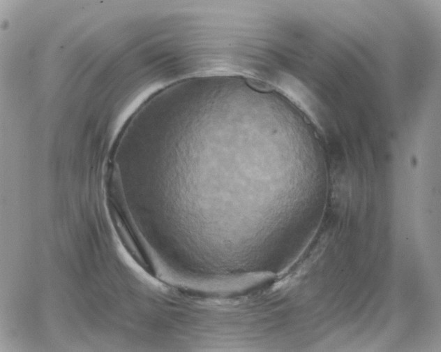 X0000066521476200603241324