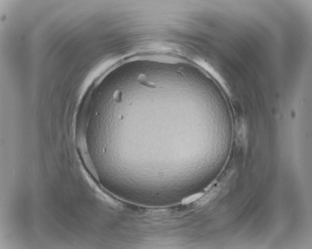 X0000066521477200603241324